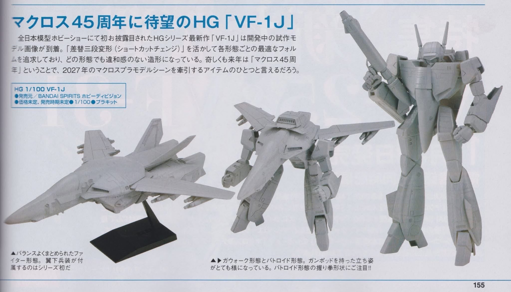 HG VF-1J